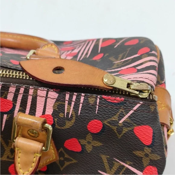 Louis Vuitton Jungle Palm Spring Speedy 30 - Picture 14 of 16